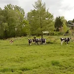 別荘 In Near Forest *