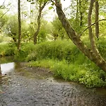 In Near Forest スレナーケン