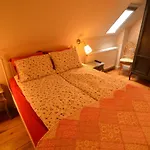 In Near Forest 別荘 *