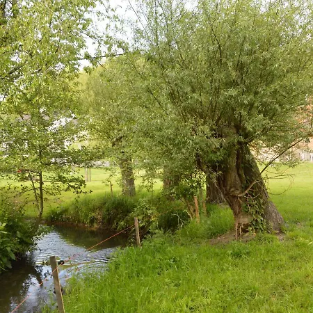 In Near Forest