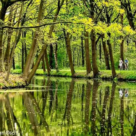 別荘 In Near Forest