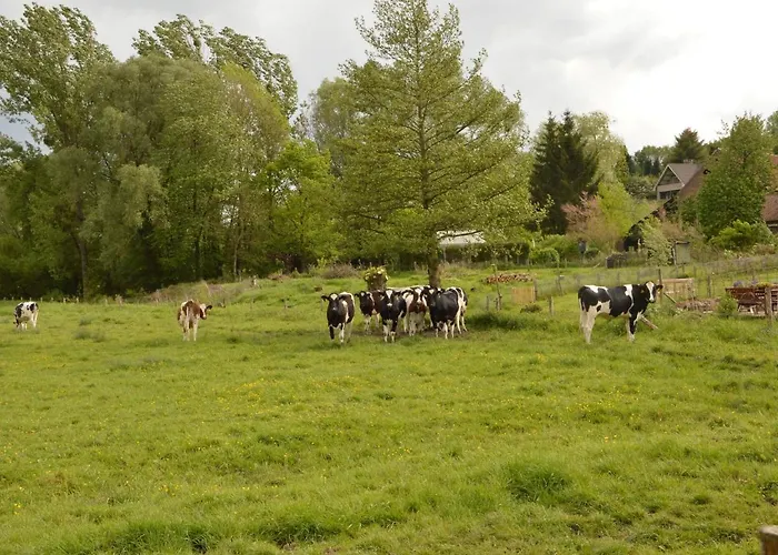 Дом отдыха In Near Forest *