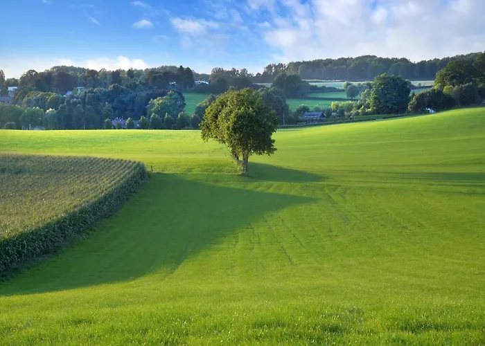 In Near Forest Дом отдыха Сленакен