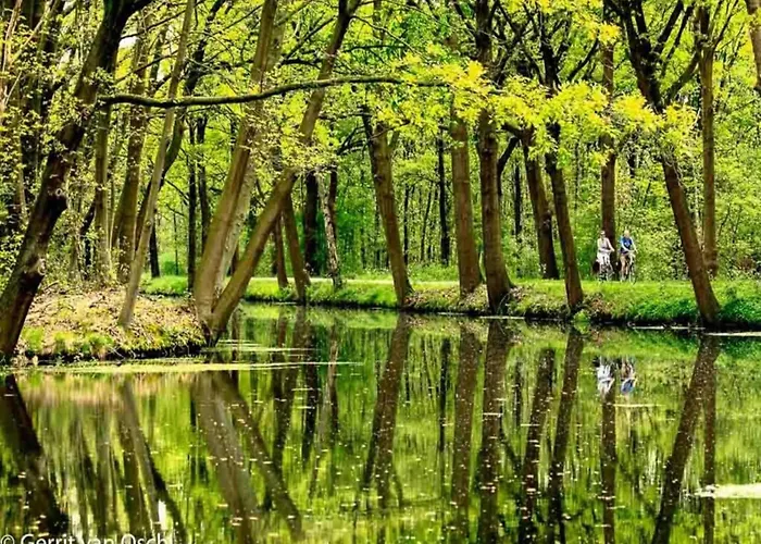 Дом отдыха In Near Forest